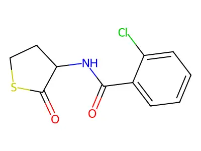 2-chloro-N-(2-oxothiolan-3-yl)benzamide structure