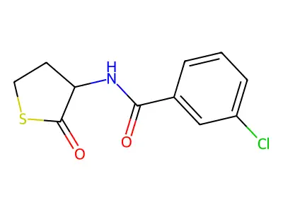 3-chloro-N-(2-oxothiolan-3-yl)benzamide structure