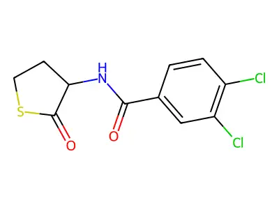 3,4-dichloro-N-(2-oxothiolan-3-yl)benzamide structure