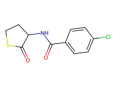 4-chloro-N-(2-oxothiolan-3-yl)benzamide structure