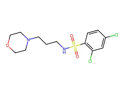 [(2,4-Dichlorophenyl)sulfonyl](3-morpholin-4-ylpropyl)amine structure