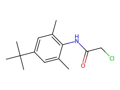 N-[4-(tert-butyl)-2,6-dimethylphenyl]-2-chloroacetamide structure