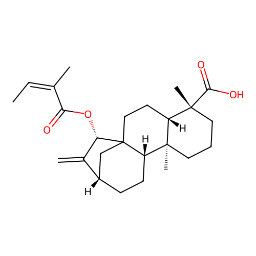 Angeloylgrandifloric acid structure