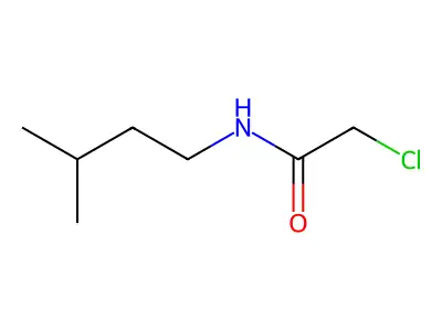2-chloro-N-(3-methylbutyl)acetamide structure