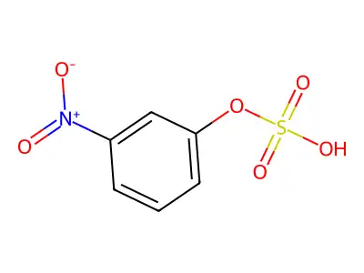 m-Nitrophenyl sulfate structure