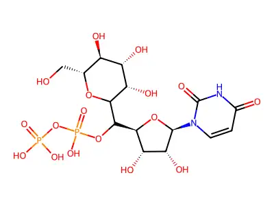 Uridine diphosphate mannose structure