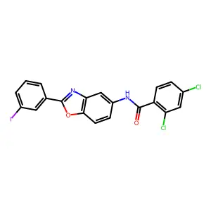 2,4-dichloro-N-[2-(3-iodophenyl)-1,3-benzoxazol-5-yl]benzamide structure