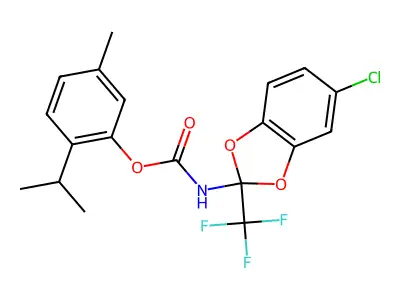 TimTec1_005375 structure