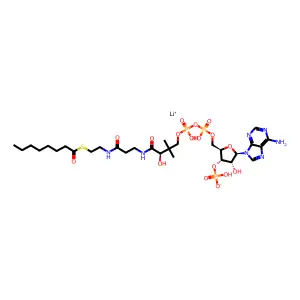 Octanoyl-coa structure