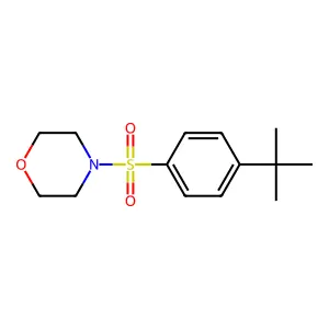 4-(4-Tert-butylphenyl)sulfonylmorpholine structure