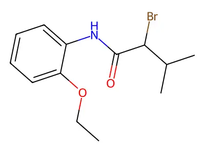 2-bromo-N-(2-ethoxyphenyl)-3-methylbutanamide structure