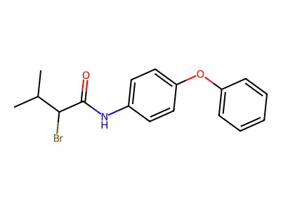2-bromo-3-methyl-N-(4-phenoxyphenyl)butanamide structure