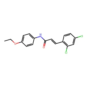 (E)-3-(2,4-dichlorophenyl)-N-(4-ethoxyphenyl)prop-2-enamide structure