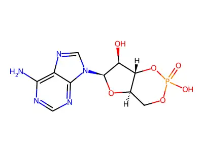 Cyclic AMP structure