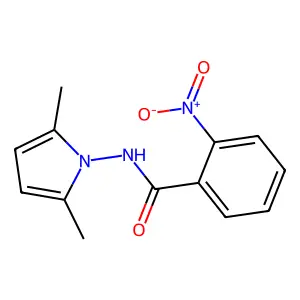 N-(2,5-dimethyl-1H-pyrrol-1-yl)-2-nitrobenzamide structure
