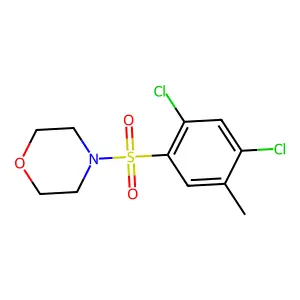 4-[(2,4-Dichloro-5-methylphenyl)sulfonyl]morpholine structure