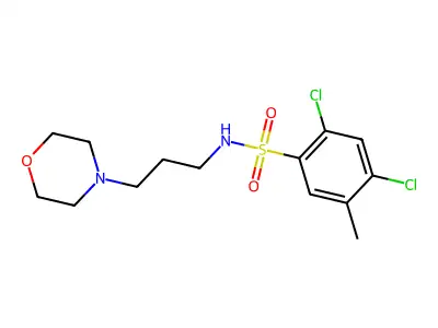 2,4-dichloro-5-methyl-N-(3-morpholinopropyl)benzenesulfonamide structure