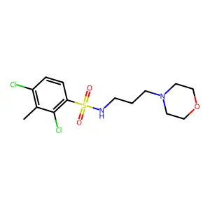 2,4-dichloro-3-methyl-N-(3-morpholin-4-ylpropyl)benzenesulfonamide structure