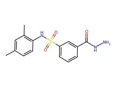 N-(2,4-dimethylphenyl)-3-(hydrazinecarbonyl)benzene-1-sulfonamide structure