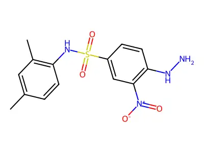N-(2,4-Dimethyl-phenyl)-4-hydrazino-3-nitro-benzenesulfonamide structure