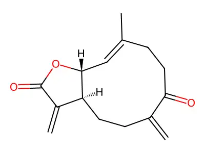 YM-1-34' structure