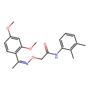 2-[1-(2,4-dimethoxyphenyl)ethylideneamino]oxy-N-(2,3-dimethylphenyl)acetamide structure