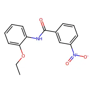 N-(2-ethoxyphenyl)-3-nitrobenzamide structure