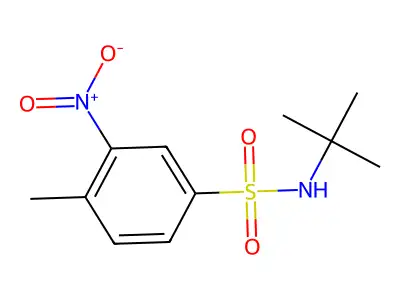 N-tert-butyl-4-methyl-3-nitrobenzenesulfonamide structure
