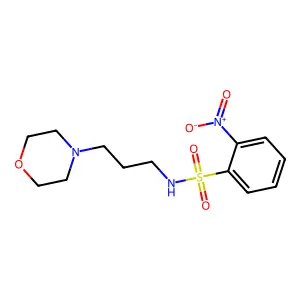 N-(3-morpholin-4-ylpropyl)-2-nitrobenzenesulfonamide structure