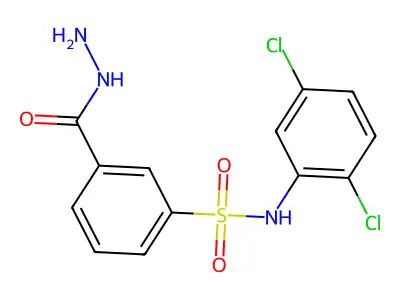 N-(2,5-dichlorophenyl)-3-(hydrazinecarbonyl)benzene-1-sulfonamide structure