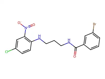 3-bromo-N-[3-(4-chloro-2-nitroanilino)propyl]benzamide structure