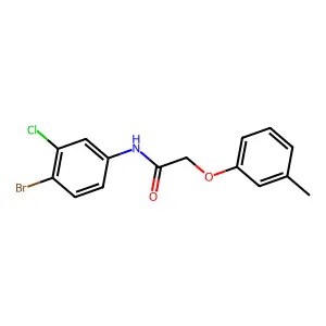 N-(4-bromo-3-chlorophenyl)-2-(3-methylphenoxy)acetamide structure