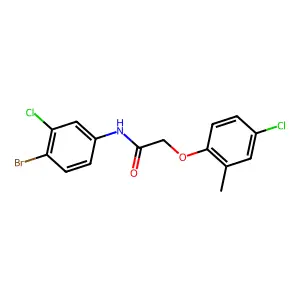 N-(4-bromo-3-chlorophenyl)-2-(4-chloro-2-methylphenoxy)acetamide structure