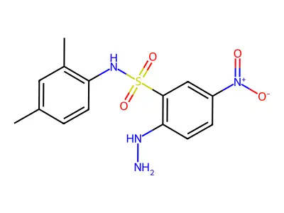 N-(2,4-dimethylphenyl)-2-hydrazinyl-5-nitrobenzene-1-sulfonamide structure