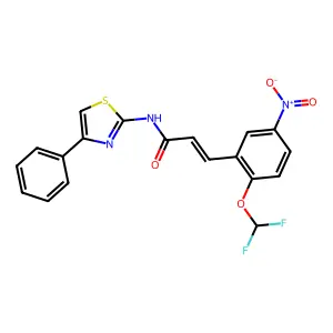 (E)-3-[2-(difluoromethoxy)-5-nitrophenyl]-N-(4-phenyl-1,3-thiazol-2-yl)prop-2-enamide structure
