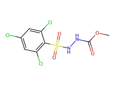 methyl N-[(2,4,6-trichlorophenyl)sulfonylamino]carbamate structure