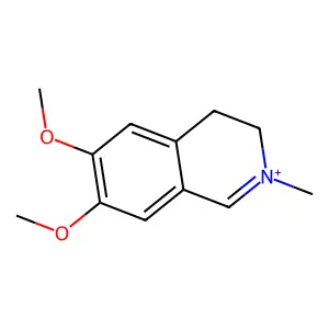 3,4-Dihydro-6,7-dimethoxy-2-methylisoquinolinium structure
