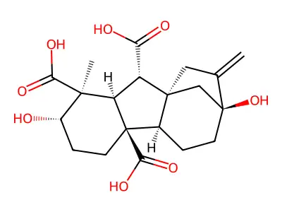 Gibberellin A28 structure