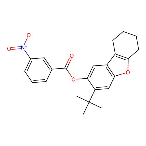 3-Tert-butyl-6,7,8,9-tetrahydrodibenzo[b,d]furan-2-yl 3-nitrobenzoate structure