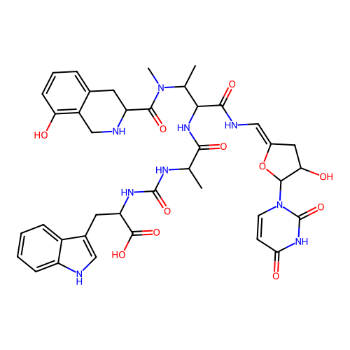 Pacidamycin 4N structure