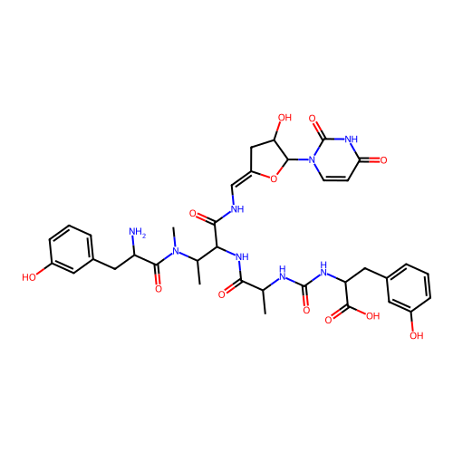 Pacidamycin 5T structure