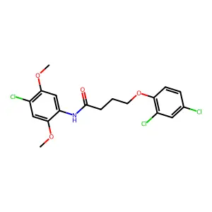 N-(4-chloro-2,5-dimethoxyphenyl)-4-(2,4-dichlorophenoxy)butanamide structure