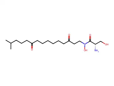 Neoenactin M1 structure