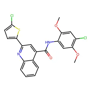 N-(4-chloro-2,5-dimethoxyphenyl)-2-(5-chlorothiophen-2-yl)quinoline-4-carboxamide structure