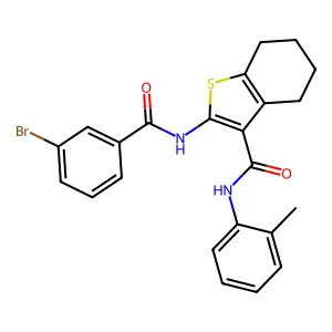 BIM-0042679.P001 structure