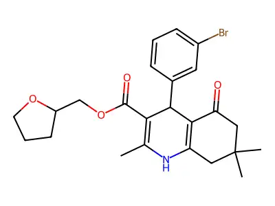 BAS 01052026 structure