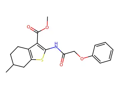 methyl 6-methyl-2-[(2-phenoxyacetyl)amino]-4,5,6,7-tetrahydro-1-benzothiophene-3-carboxylate structure