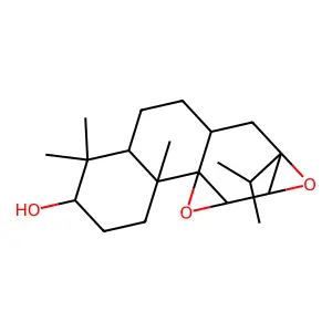 Vitetrifolin A structure