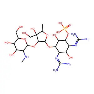 Dihydrostreptomycin 6-phosphate structure