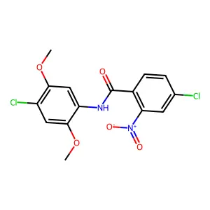 4-chloro-N-(4-chloro-2,5-dimethoxyphenyl)-2-nitrobenzamide structure